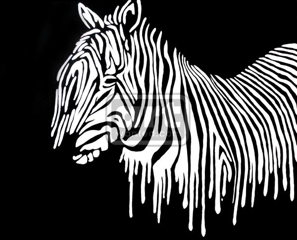 Dripping Zebra