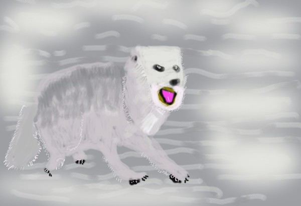 O412 Arctic Fox Pup
