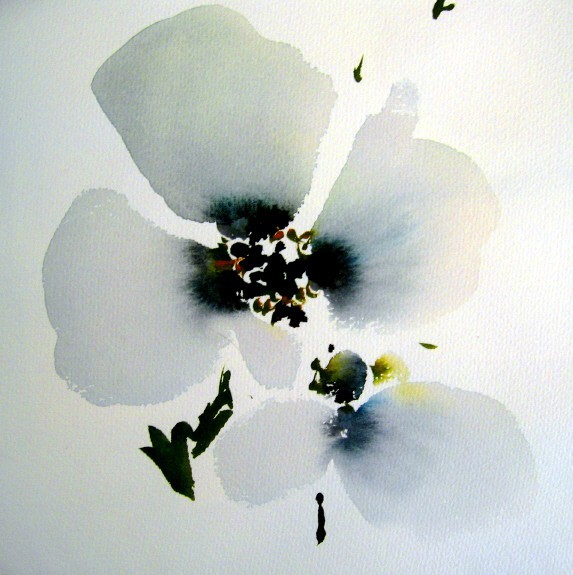 one white flower