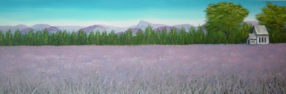 Lavender Field