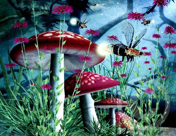 Mushrooms And Fireflies