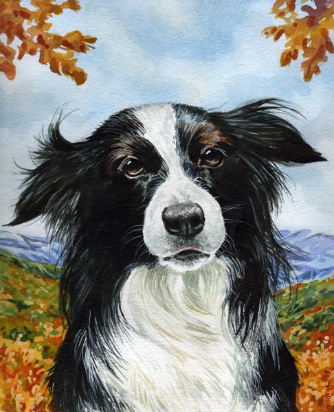 Dog Portrait Commission - Betsy