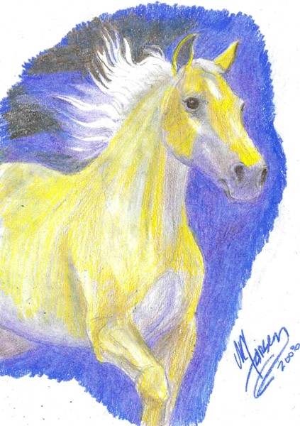 golden palomino quarter horse