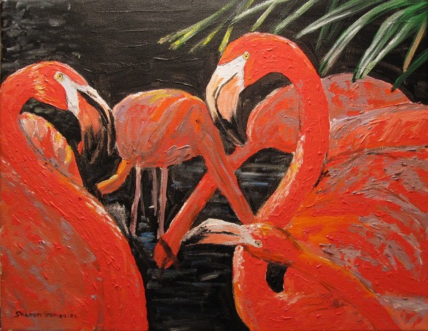 Flamingos