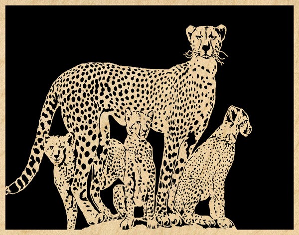 Cheetah Mom and Kits