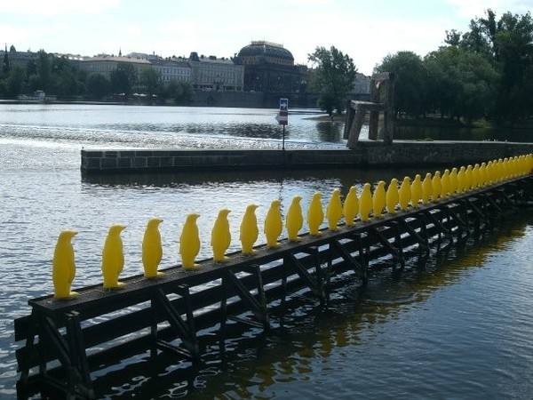 Penguin line beside Moldava River. Prague.