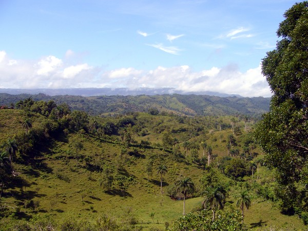 Dominican Landscape