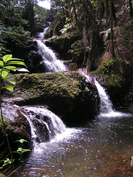 waterfall Onomea
