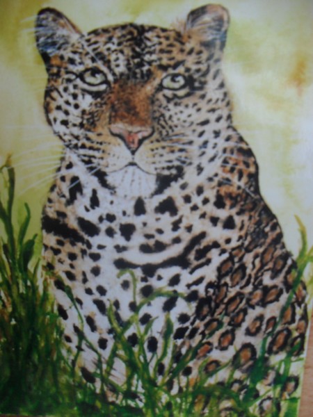 the leopard
