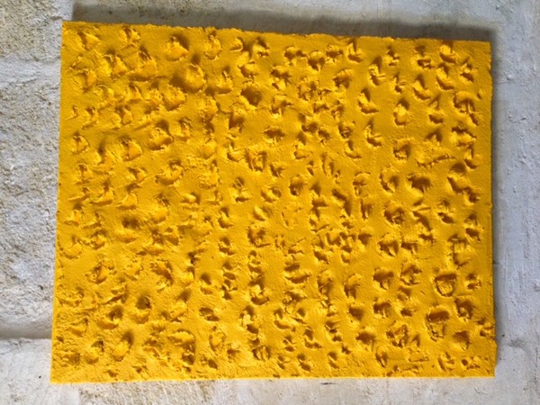 ecorchure 204 yellow