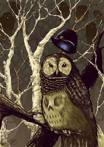 Owl-and-hat-color-final
