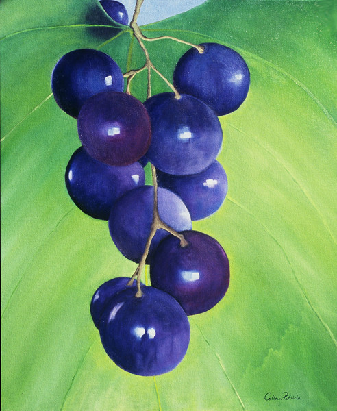 Fruit of the Vine