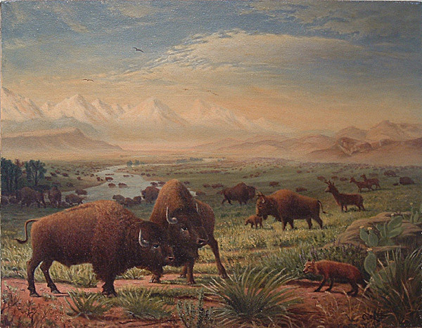 Buffalo on the Plains Landscape Oil Painting Art