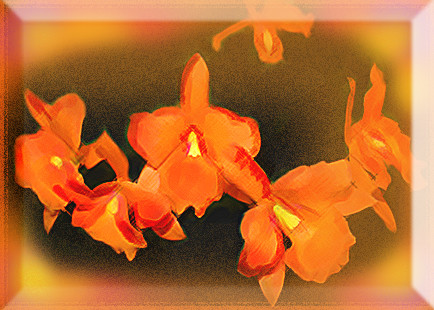 Orange beveled watercolor of orchid sprig