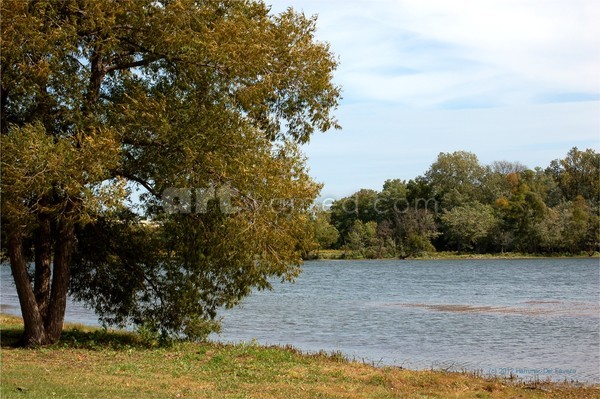 Wampum Lake Autumn Tree Photo