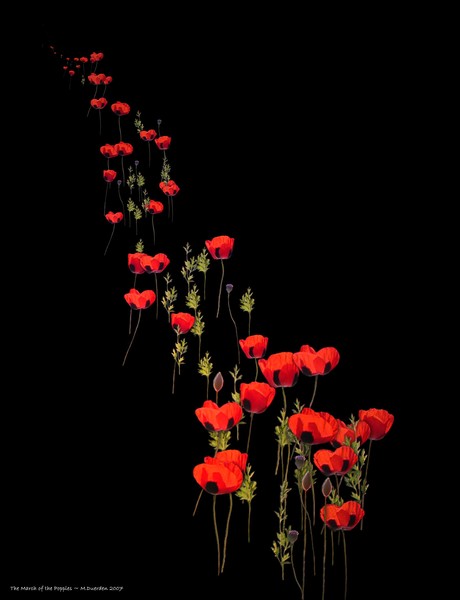 The March of the Poppies