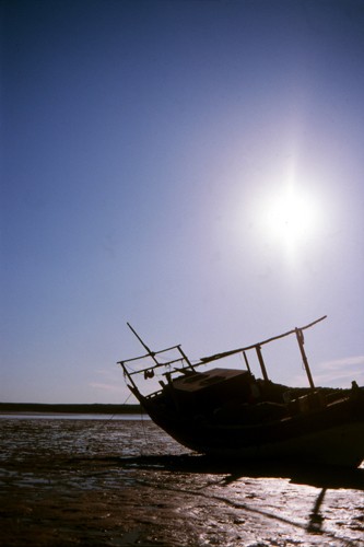 The dhow