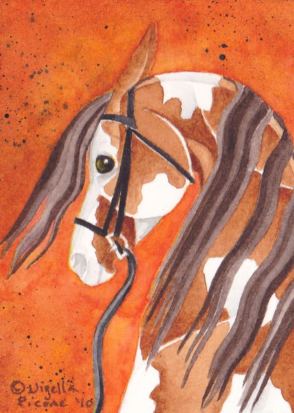 Chestnut Pinto Horse On Deep Orange