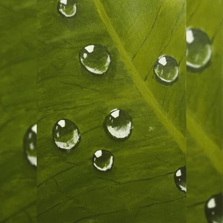 There is an eternal love between the water drop and the leaf