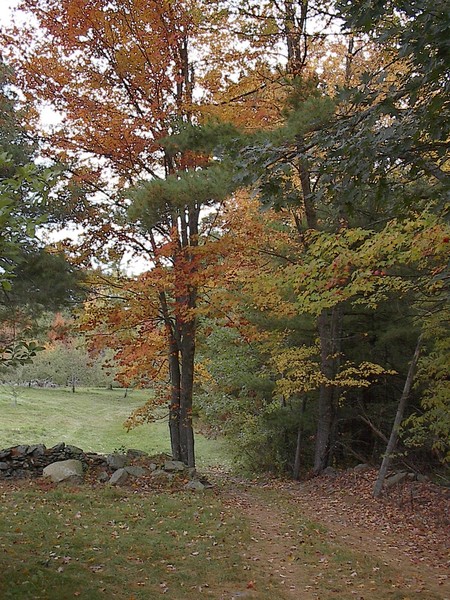 Tranquility in Whitefield,Maine