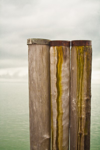 Pilings at George's Island