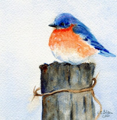 Little Bluebird