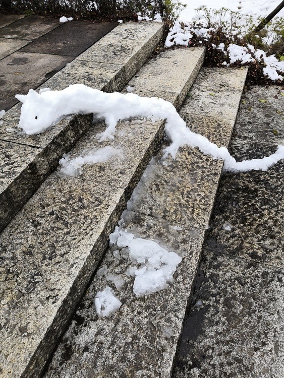 snow snake