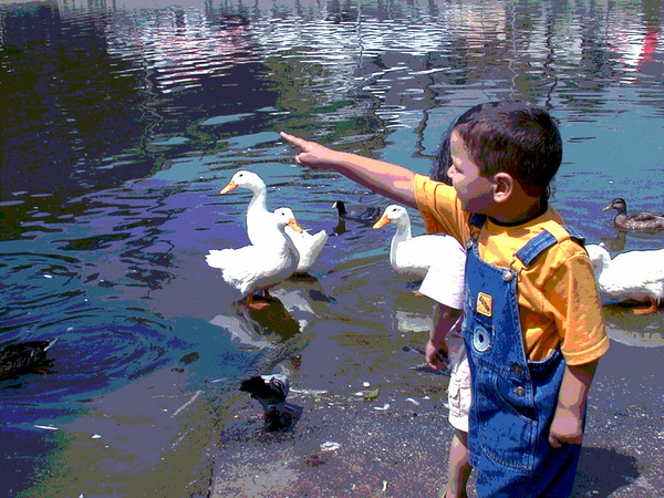 Boy With Ducks