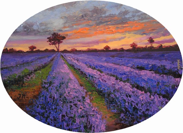 Evening on the lavender field.