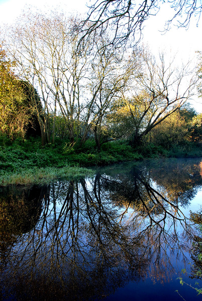 Reflections