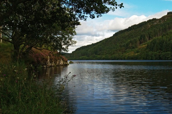 Loch Avich