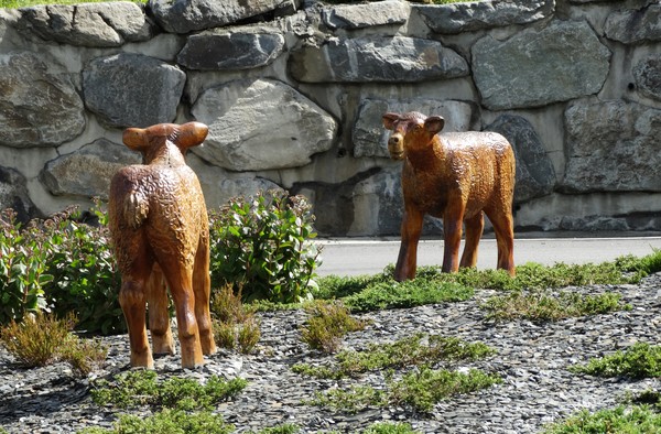 wood sheeps