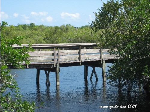 EVERGLADES