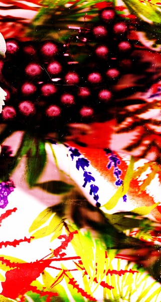 Tropical Array with Grapes