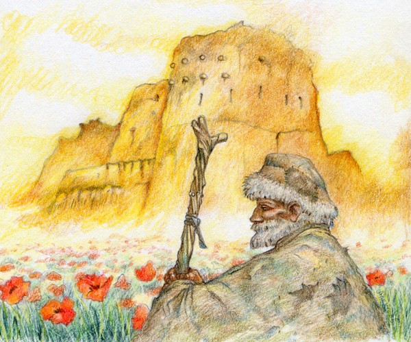 Oldman and poppies