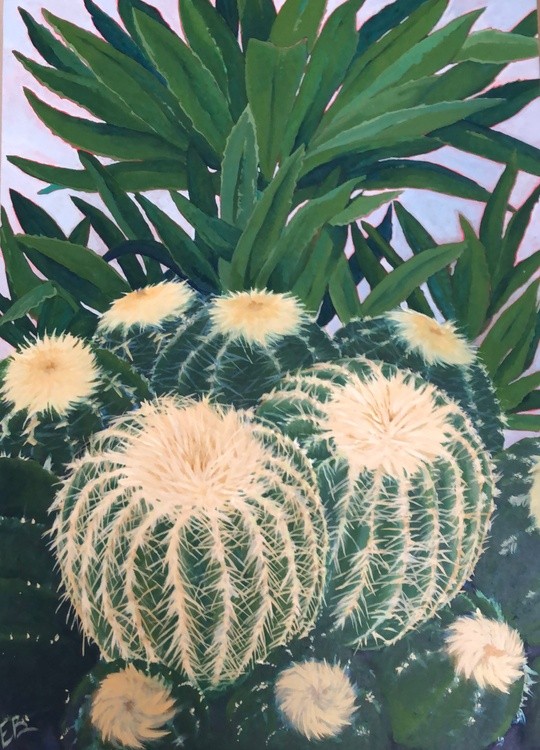 Desert Cactus 