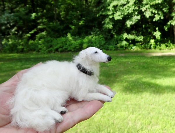 Borzoi