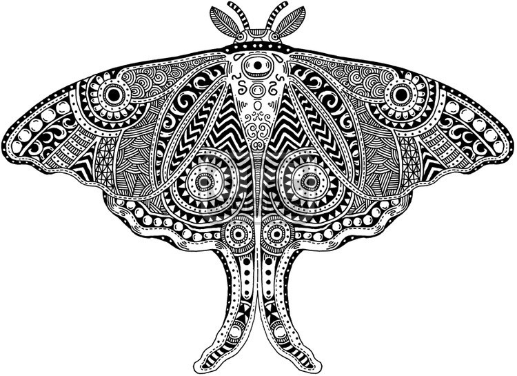 Luna Moth Patterned 