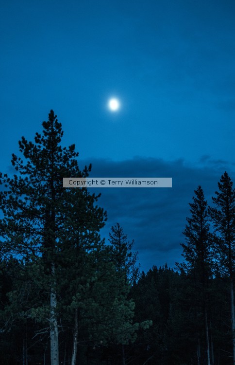 Moon over Snake River