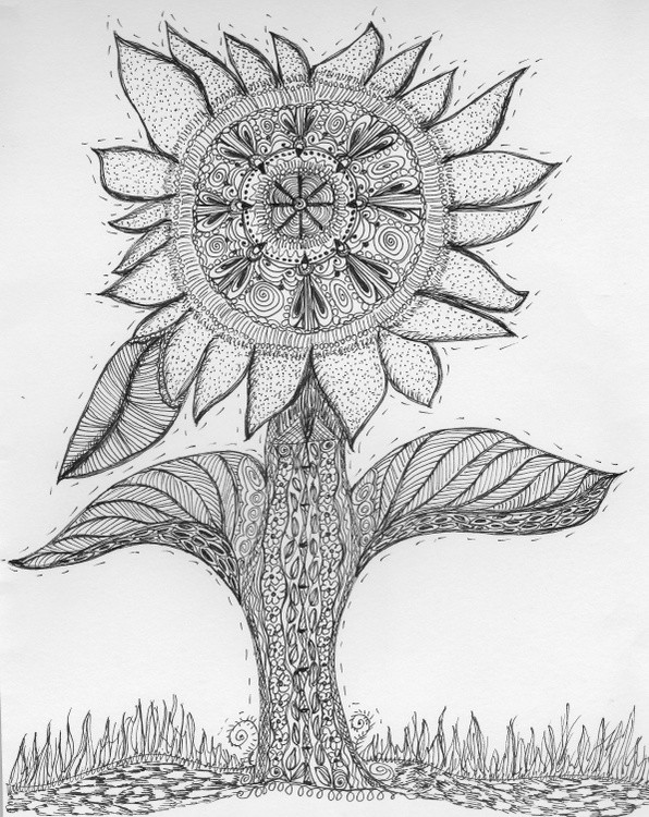 Georgia's Sunflower