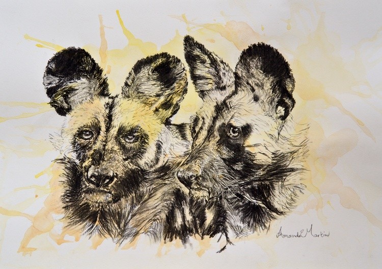 Wild Dogs Charcoal with background