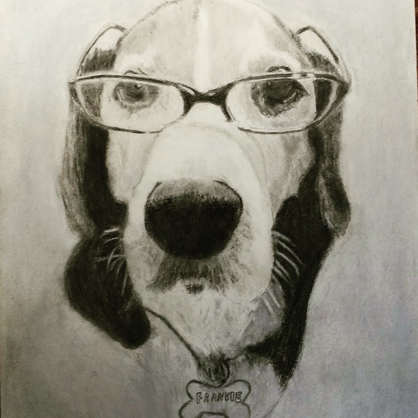 custom pet drawing portraots