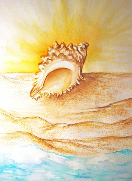 KAREN MURO sea shell