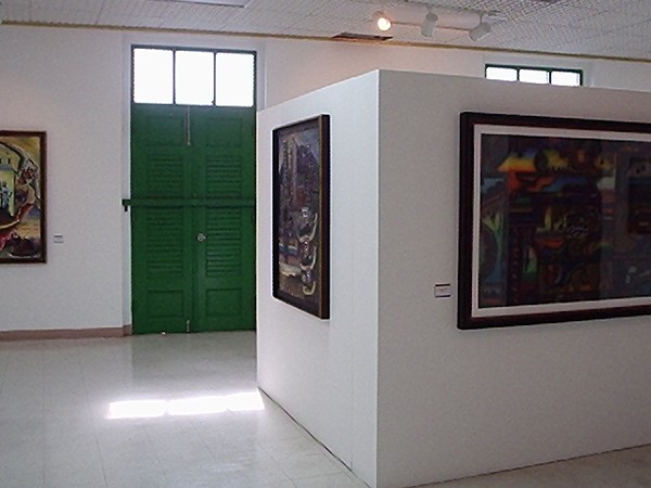 Museo Del Arte Caguas, Fuller One Person Show