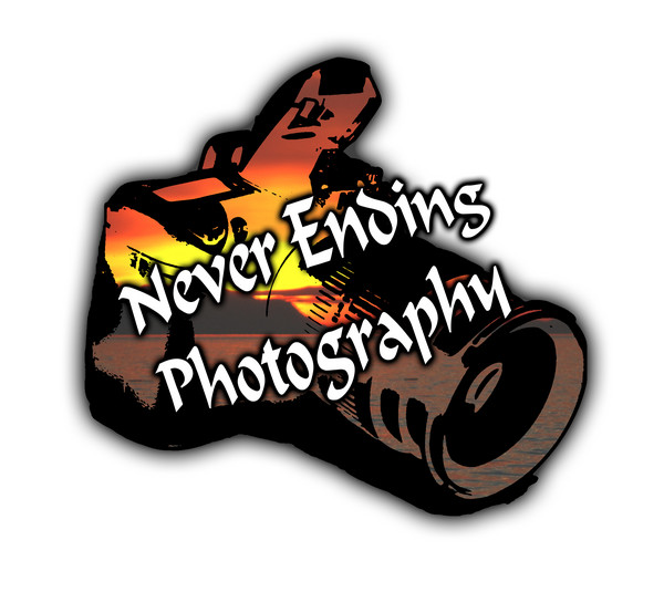 Never Ending Photography Logo