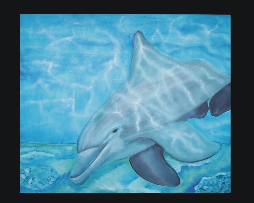 Dolphin bay