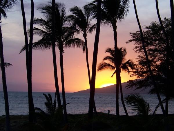 Tropical Sunset Maui