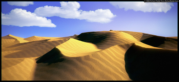 Desert Sands