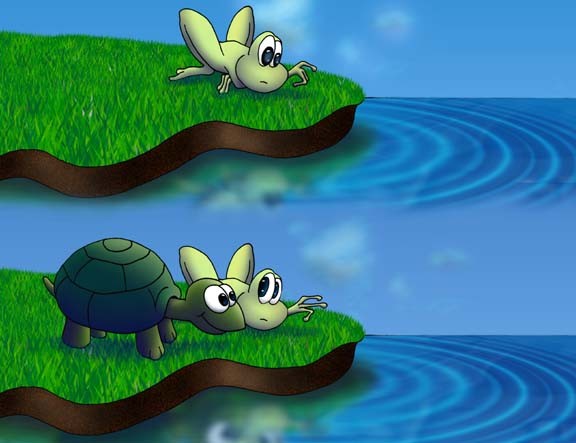 frog & turtle over water