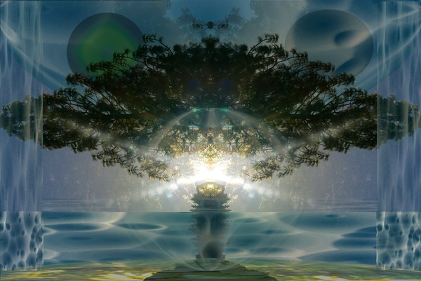 Mystic Tree (title pending)